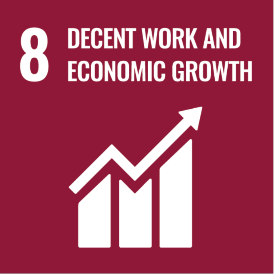 Promote sustained, inclusive and sustainable economic growth, full and productive employment and decent work for all.