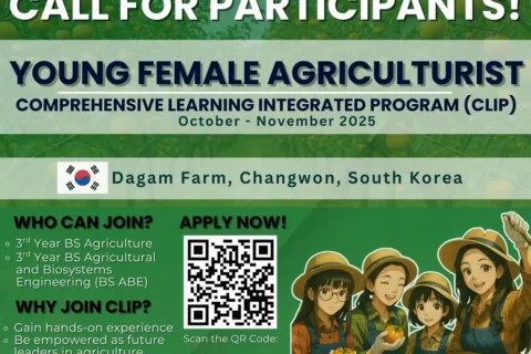 536278346_730837259926613_1132734865173306406_n_result